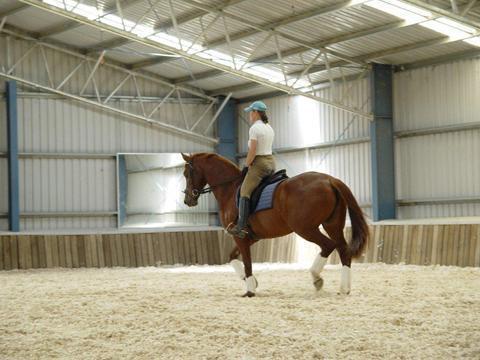 'Jesmond Dene' Equestrian Centre & Events