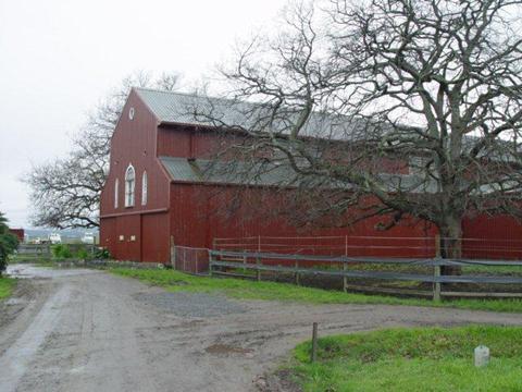 'Jesmond Dene' Equestrian Centre & Events