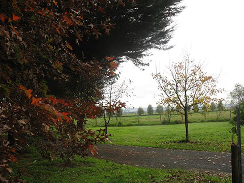 'Jesmond Dene' Gardens