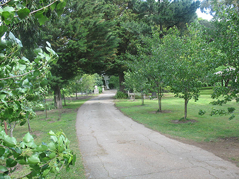 'Jesmond Dene' Homestead & Gardens