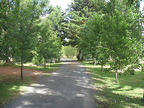 'Jesmond Dene' Homestead & Gardens