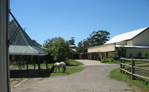 'Jesmond Dene' Horses Stud