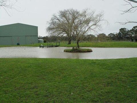 'Jesmond Dene' Farm Paddocks