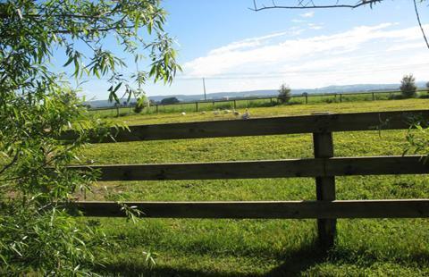 Jesmond Dene Farm Paddocks