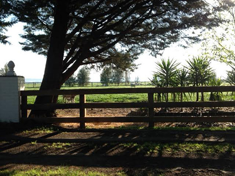 'Jesmond Dene' Farm Paddocks